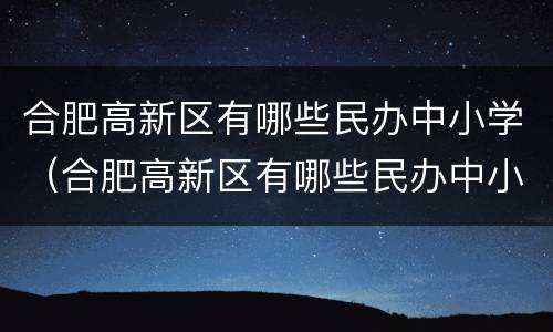 合肥高新区有哪些民办中小学（合肥高新区有哪些民办中小学校）