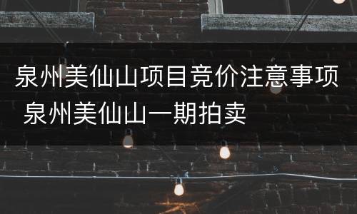 泉州美仙山项目竞价注意事项 泉州美仙山一期拍卖