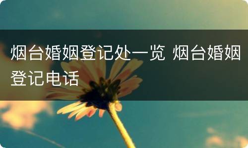 烟台婚姻登记处一览 烟台婚姻登记电话