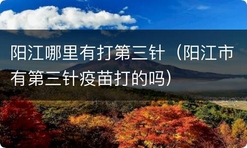 阳江哪里有打第三针（阳江市有第三针疫苗打的吗）