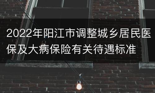2022年阳江市调整城乡居民医保及大病保险有关待遇标准