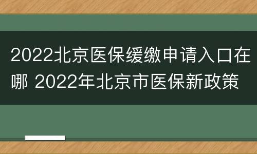 2022北京医保缓缴申请入口在哪 2022年北京市医保新政策