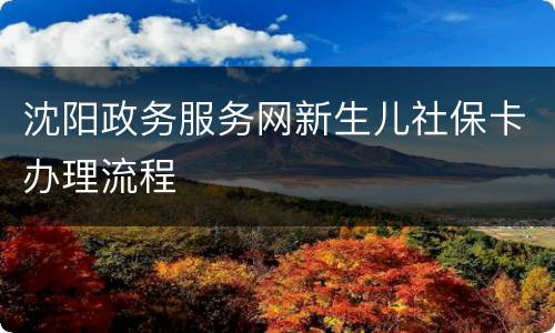 沈阳政务服务网新生儿社保卡办理流程