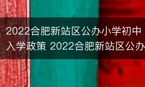 2022合肥新站区公办小学初中入学政策 2022合肥新站区公办小学初中入学政策解读