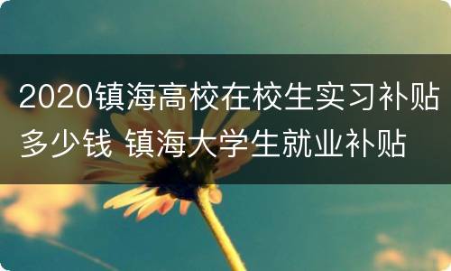 2020镇海高校在校生实习补贴多少钱 镇海大学生就业补贴