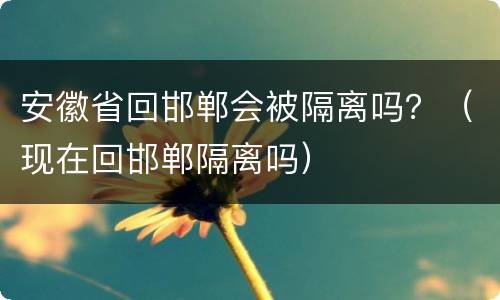 安徽省回邯郸会被隔离吗？（现在回邯郸隔离吗）