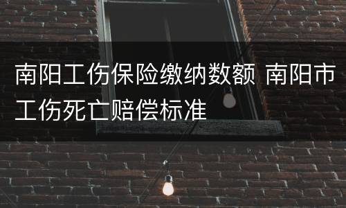 南阳工伤保险缴纳数额 南阳市工伤死亡赔偿标准