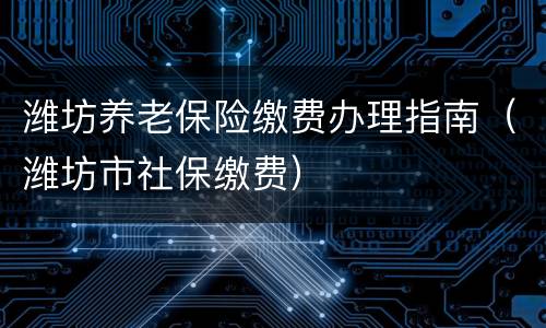 潍坊养老保险缴费办理指南（潍坊市社保缴费）