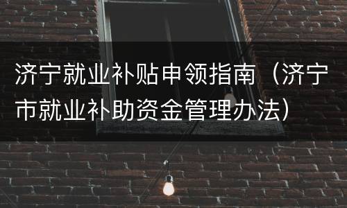 济宁就业补贴申领指南（济宁市就业补助资金管理办法）