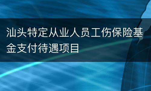 汕头特定从业人员工伤保险基金支付待遇项目