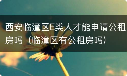 西安临潼区E类人才能申请公租房吗（临潼区有公租房吗）