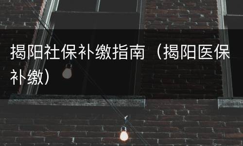 揭阳社保补缴指南（揭阳医保补缴）