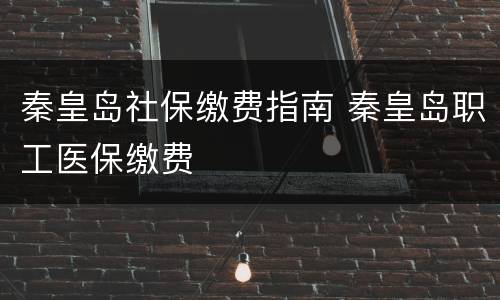 秦皇岛社保缴费指南 秦皇岛职工医保缴费