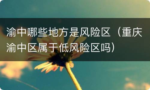 渝中哪些地方是风险区（重庆渝中区属于低风险区吗）