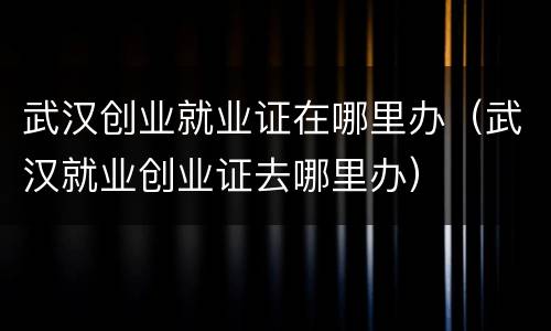 武汉创业就业证在哪里办（武汉就业创业证去哪里办）