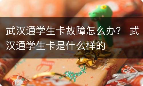 武汉通学生卡故障怎么办？ 武汉通学生卡是什么样的