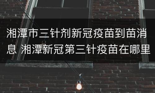 湘潭市三针剂新冠疫苗到苗消息 湘潭新冠第三针疫苗在哪里打