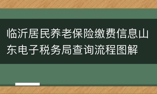 临沂居民养老保险缴费信息山东电子税务局查询流程图解