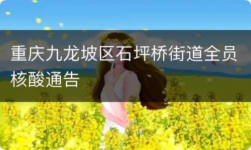 重庆九龙坡区石坪桥街道全员核酸通告