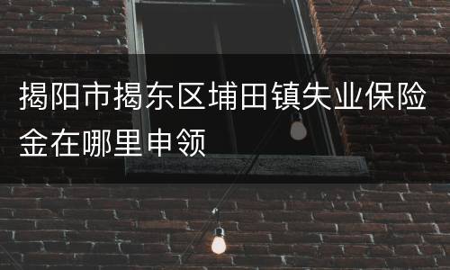 揭阳市揭东区埔田镇失业保险金在哪里申领