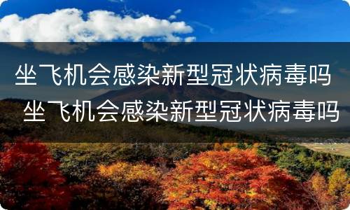 坐飞机会感染新型冠状病毒吗 坐飞机会感染新型冠状病毒吗现在