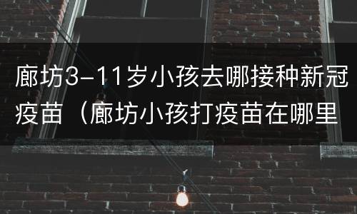 廊坊3-11岁小孩去哪接种新冠疫苗（廊坊小孩打疫苗在哪里打）