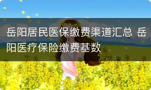 岳阳居民医保缴费渠道汇总 岳阳医疗保险缴费基数