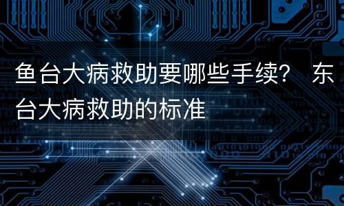 鱼台大病救助要哪些手续？ 东台大病救助的标准