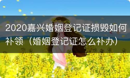 2020嘉兴婚姻登记证损毁如何补领（婚姻登记证怎么补办）