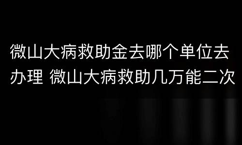 微山大病救助金去哪个单位去办理 微山大病救助几万能二次报销
