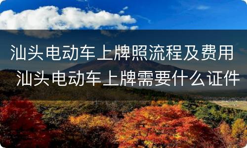 汕头电动车上牌照流程及费用 汕头电动车上牌需要什么证件