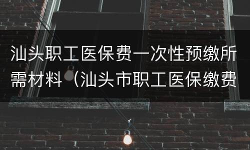 汕头职工医保费一次性预缴所需材料（汕头市职工医保缴费标准）