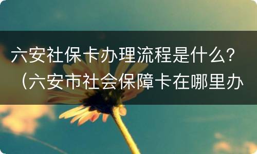 六安社保卡办理流程是什么？（六安市社会保障卡在哪里办理）