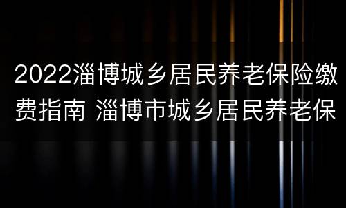 2022淄博城乡居民养老保险缴费指南 淄博市城乡居民养老保险2019新政策