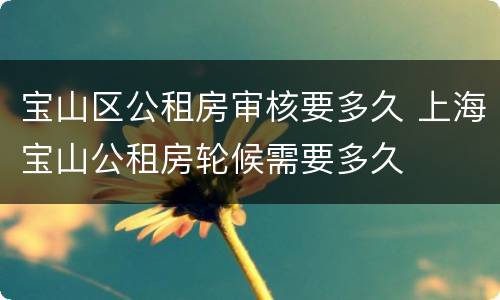 宝山区公租房审核要多久 上海宝山公租房轮候需要多久