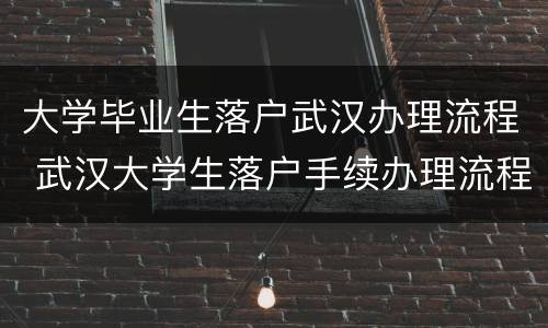 大学毕业生落户武汉办理流程 武汉大学生落户手续办理流程