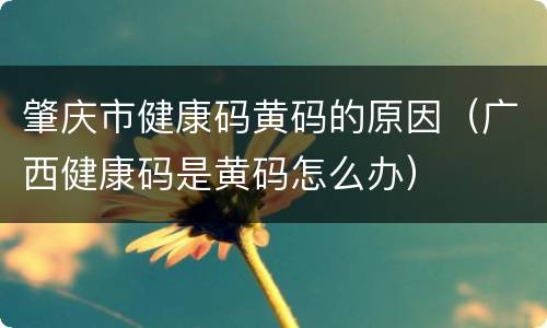 肇庆市健康码黄码的原因（广西健康码是黄码怎么办）