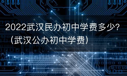 2022武汉民办初中学费多少？（武汉公办初中学费）