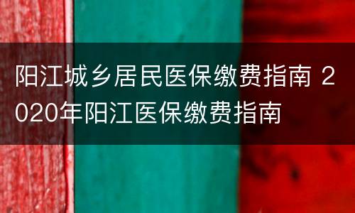 阳江城乡居民医保缴费指南 2020年阳江医保缴费指南