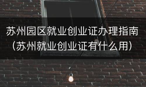 苏州园区就业创业证办理指南（苏州就业创业证有什么用）