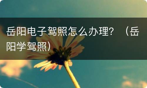 岳阳电子驾照怎么办理？（岳阳学驾照）