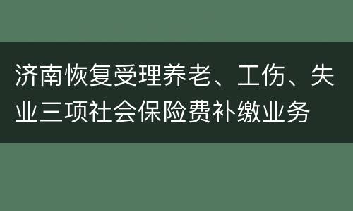 济南恢复受理养老、工伤、失业三项社会保险费补缴业务