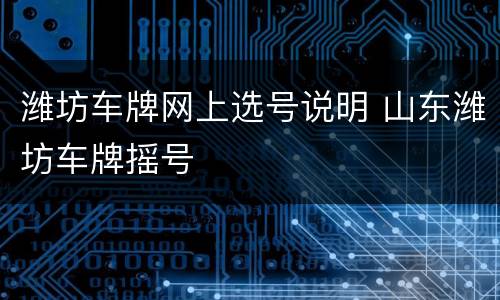 潍坊车牌网上选号说明 山东潍坊车牌摇号