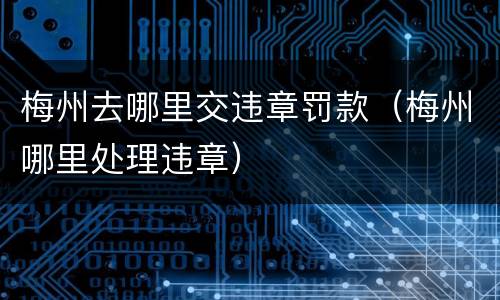 梅州去哪里交违章罚款（梅州哪里处理违章）