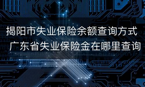 揭阳市失业保险余额查询方式 广东省失业保险金在哪里查询