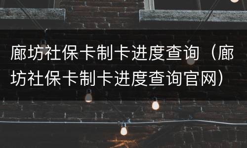 廊坊社保卡制卡进度查询（廊坊社保卡制卡进度查询官网）