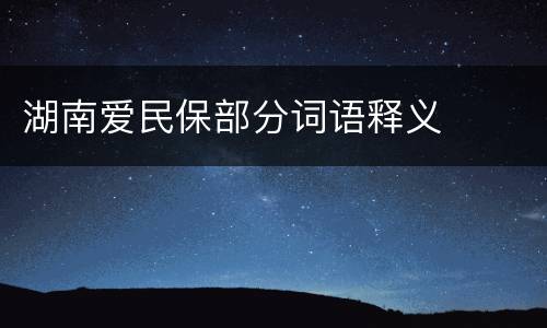 湖南爱民保部分词语释义