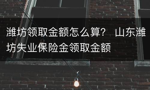 潍坊领取金额怎么算？ 山东潍坊失业保险金领取金额