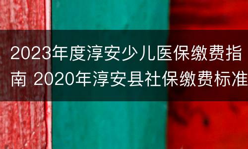 2023年度淳安少儿医保缴费指南 2020年淳安县社保缴费标准