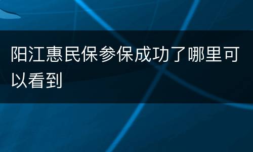 阳江惠民保参保成功了哪里可以看到